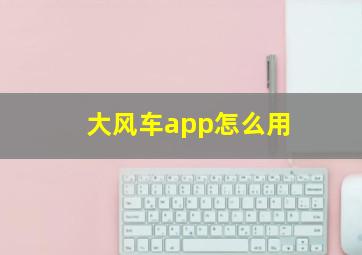 大风车app怎么用