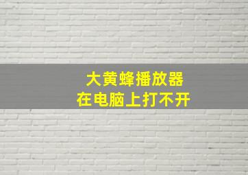 大黄蜂播放器在电脑上打不开