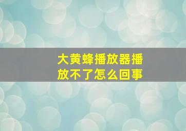 大黄蜂播放器播放不了怎么回事