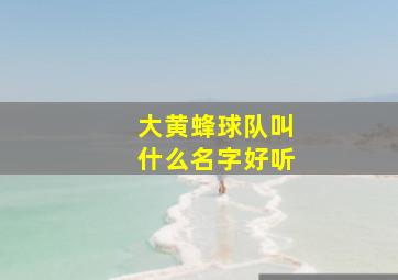 大黄蜂球队叫什么名字好听