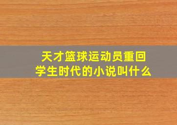 天才篮球运动员重回学生时代的小说叫什么