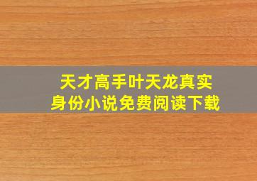 天才高手叶天龙真实身份小说免费阅读下载