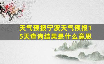 天气预报宁波天气预报15天查询结果是什么意思