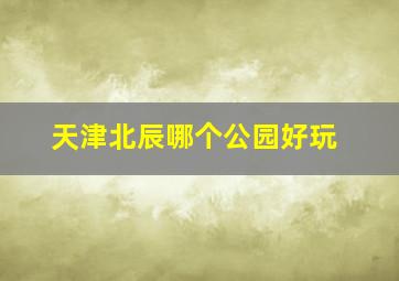 天津北辰哪个公园好玩