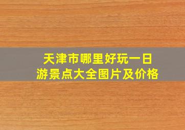 天津市哪里好玩一日游景点大全图片及价格