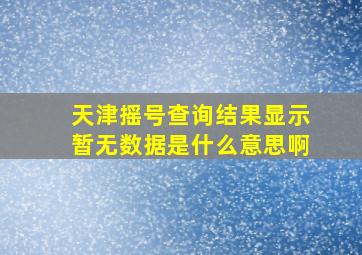 天津摇号查询结果显示暂无数据是什么意思啊