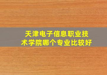 天津电子信息职业技术学院哪个专业比较好