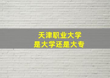 天津职业大学是大学还是大专