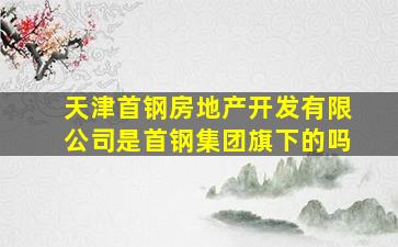 天津首钢房地产开发有限公司是首钢集团旗下的吗