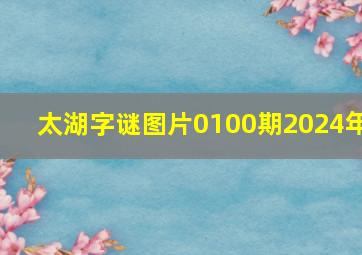 太湖字谜图片0100期2024年