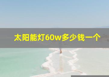 太阳能灯60w多少钱一个