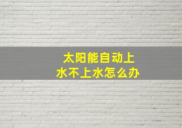 太阳能自动上水不上水怎么办