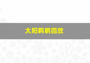 太阳鹈鹕回放