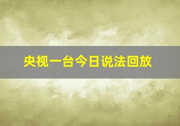 央视一台今日说法回放