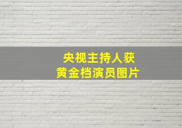 央视主持人获黄金档演员图片