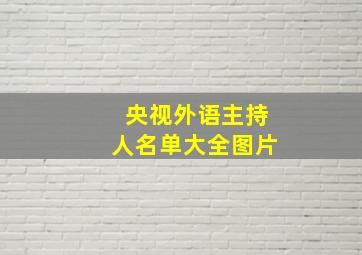 央视外语主持人名单大全图片