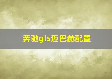 奔驰gls迈巴赫配置