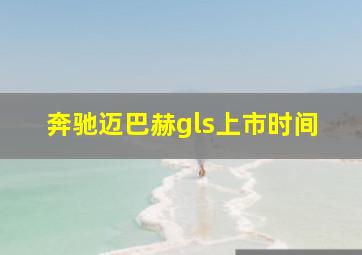 奔驰迈巴赫gls上市时间