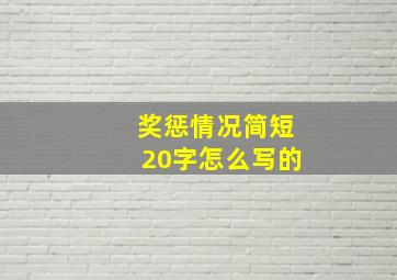 奖惩情况简短20字怎么写的