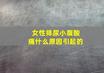 女性排尿小腹酸痛什么原因引起的