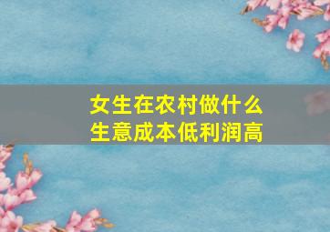 女生在农村做什么生意成本低利润高