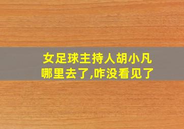 女足球主持人胡小凡哪里去了,咋没看见了