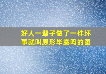 好人一辈子做了一件坏事就叫原形毕露吗的图