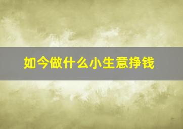 如今做什么小生意挣钱