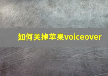 如何关掉苹果voiceover