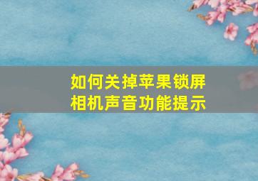 如何关掉苹果锁屏相机声音功能提示