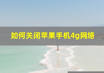 如何关闭苹果手机4g网络