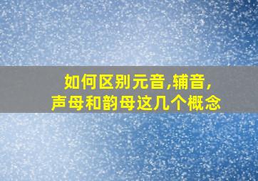 如何区别元音,辅音,声母和韵母这几个概念