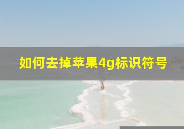 如何去掉苹果4g标识符号