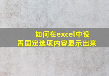 如何在excel中设置固定选项内容显示出来