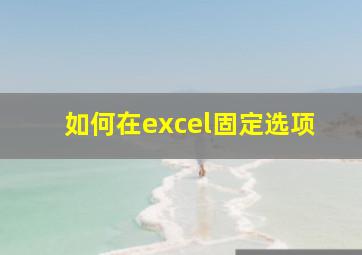 如何在excel固定选项