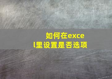 如何在excel里设置是否选项