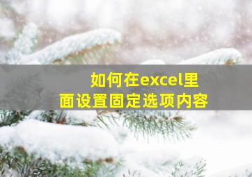 如何在excel里面设置固定选项内容