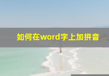 如何在word字上加拼音