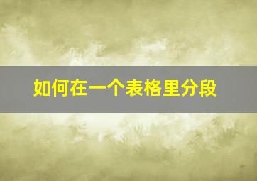 如何在一个表格里分段