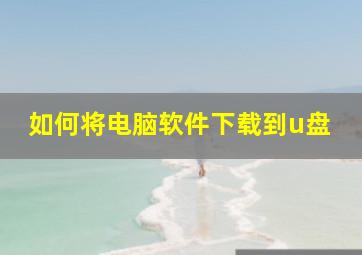 如何将电脑软件下载到u盘