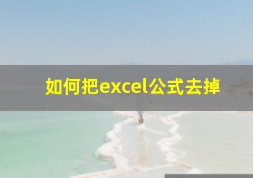 如何把excel公式去掉