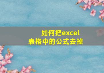 如何把excel表格中的公式去掉