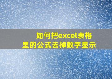 如何把excel表格里的公式去掉数字显示