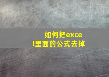 如何把excel里面的公式去掉