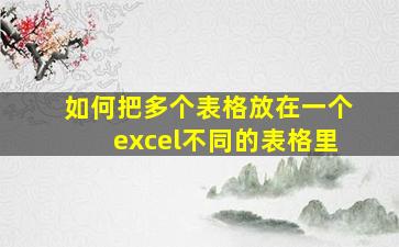 如何把多个表格放在一个excel不同的表格里