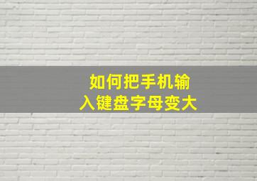 如何把手机输入键盘字母变大