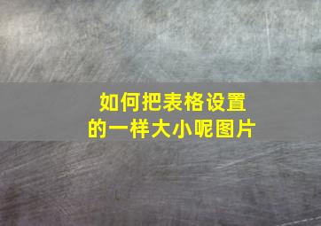 如何把表格设置的一样大小呢图片