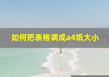 如何把表格调成a4纸大小