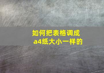 如何把表格调成a4纸大小一样的