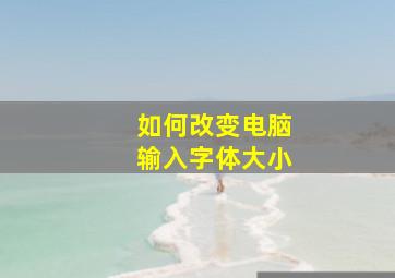 如何改变电脑输入字体大小